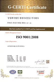 ISO 9001 Certificate 